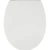 Tiger Boston wc bril wit/RVS met softclose en quick release