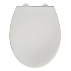 Toiletzitting Bemis Reybridge Universeel