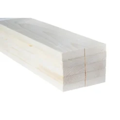 TPA Voordeelpak ruw vuren 16x50 mm 210 cm 10 stuks