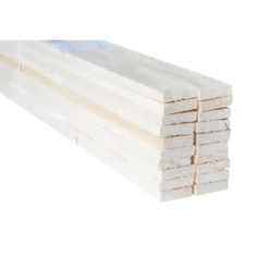 TPA Voordeelpak ruw vuren 10x38 mm 270 cm 20 stuks Sale
